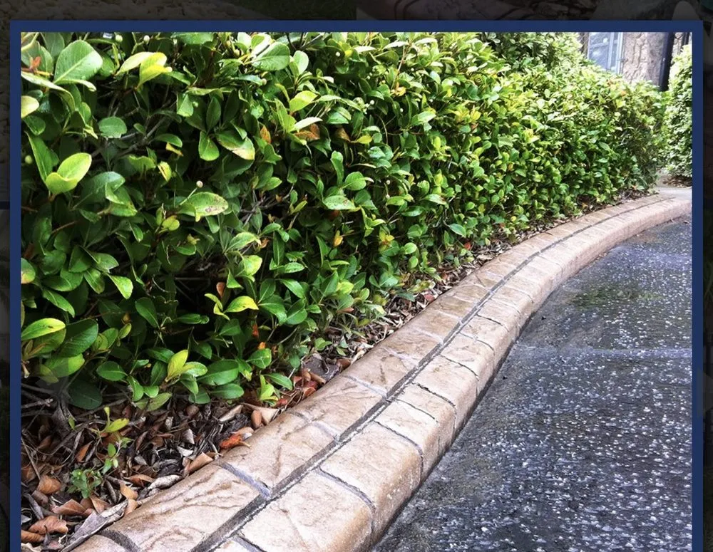 Professional outdoor landscaping in Needville, TX by Perezidente Elite Services