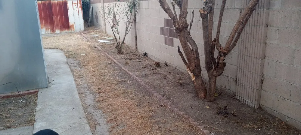 Local outdoor landscaping experts serving Santa Ana, CA - Perezify OC Landscape