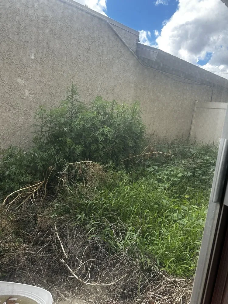 Trusted landscape installation experts serving Santa Ana, CA - Perezify OC Landscape