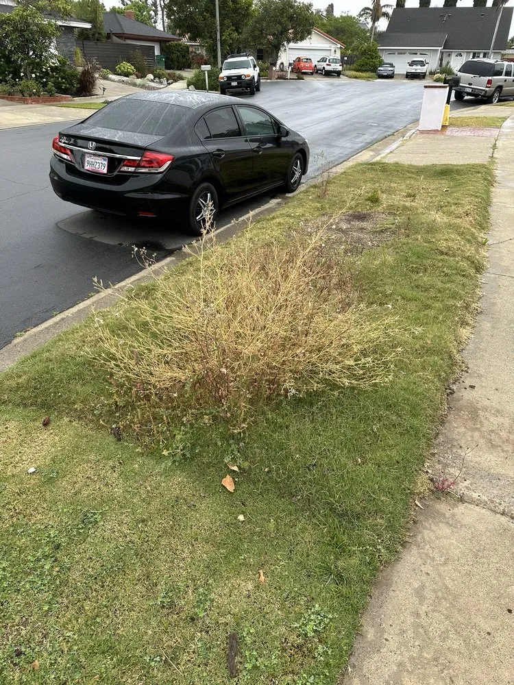 Expert landscape installation in Santa Ana, CA - Perezify OC Landscape