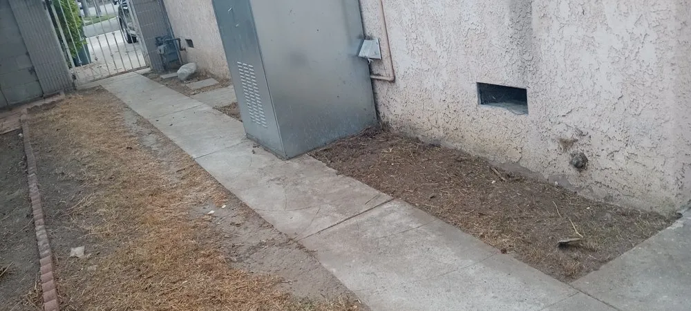 Local lawn care service experts serving Santa Ana, CA - Perezify OC Landscape