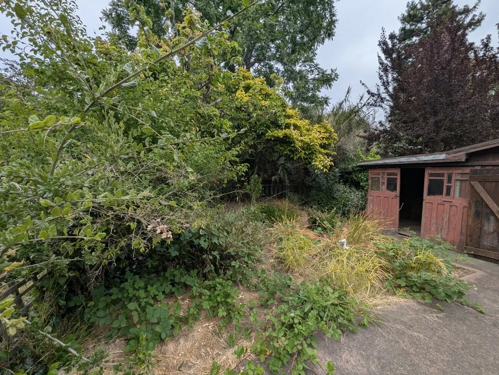 Professional outdoor landscaping in Oakland, CA by Perez's Landscaping & Gardening Services