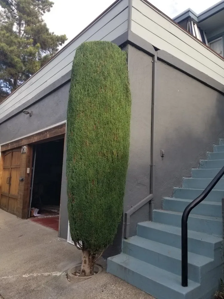 Reliable residential landscaping for residential properties in Oakland, CA by Perez's Landscaping & Gardening Services