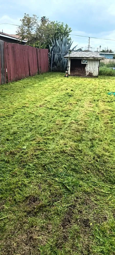 Affordable outdoor landscaping for year-round maintenance across Menifee, CA - Perez's Landscaping Services