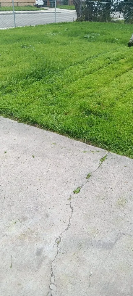 Top-rated yard cleanup service in Menifee, CA - Perez's Landscaping Services