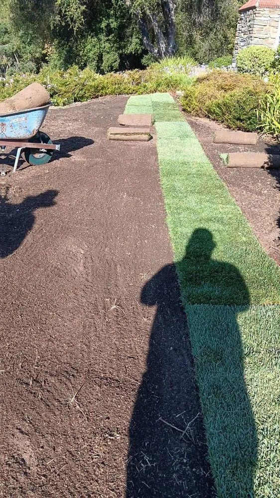 Local yard maintenance in Menifee, CA by Perez's Landscaping Services