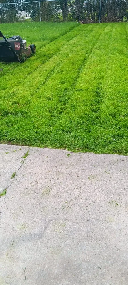 Affordable landscaping services experts serving Menifee, CA - Perez's Landscaping Services