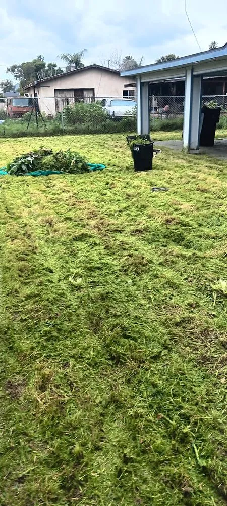 Expert landscape design for outdoor upgrades across Menifee, CA - Perez's Landscaping Services