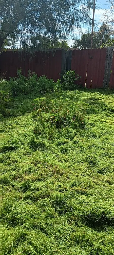 Reliable lawn mowing service in Menifee, CA - Perez's Landscaping Services