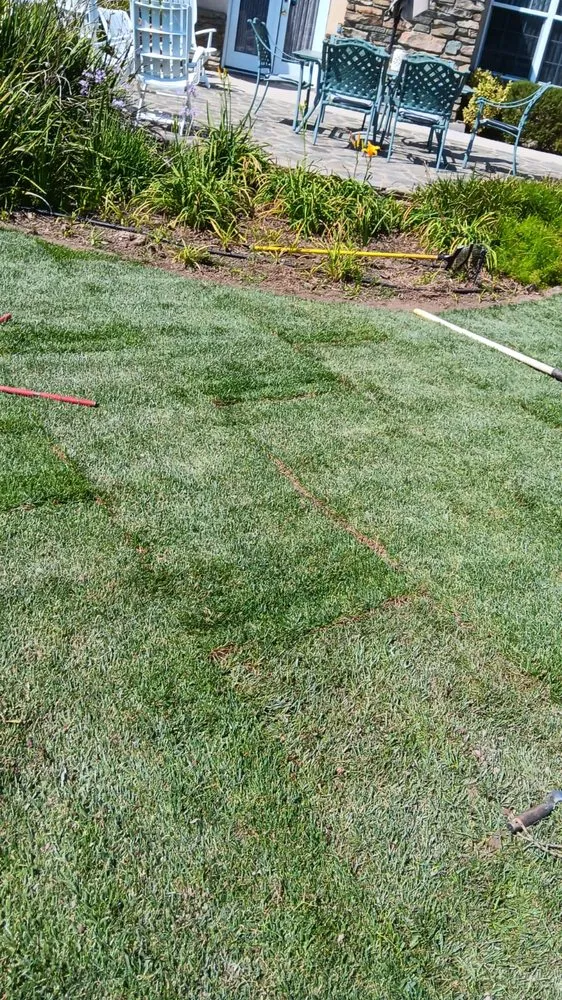 Custom garden landscaping in Menifee, CA - Perez's Landscaping Services