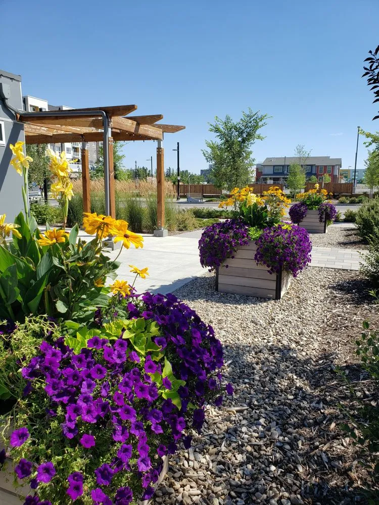 Custom residential landscaping in Menifee, CA by Perez's Landscaping Services