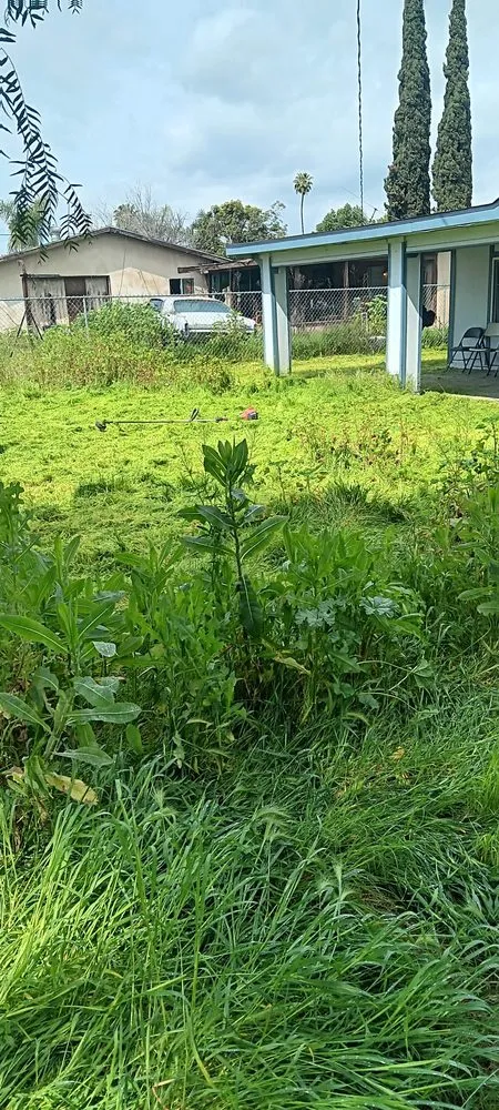 Trusted lawn care service in Menifee, CA by Perez's Landscaping Services