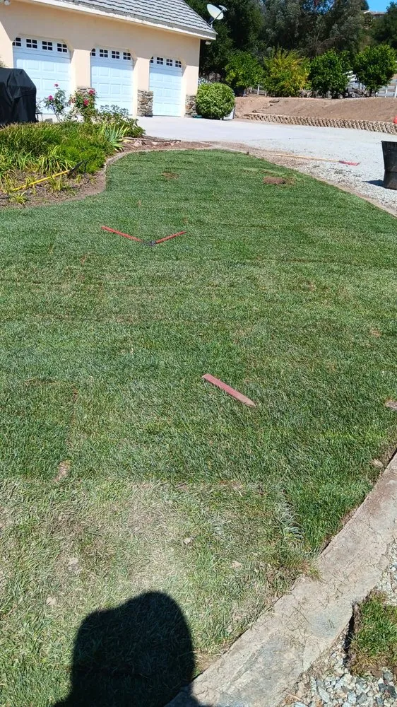 Local yard cleanup service for residential properties in Menifee, CA by Perez's Landscaping Services