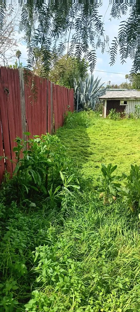 Custom landscape design in Menifee, CA by Perez's Landscaping Services