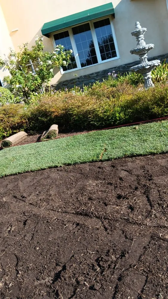 Trusted yard cleanup service for beautiful yards in Menifee, CA by Perez's Landscaping Services