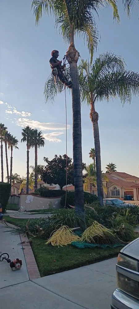 Reliable outdoor landscaping experts serving Menifee, CA - Perez's Landscaping Services