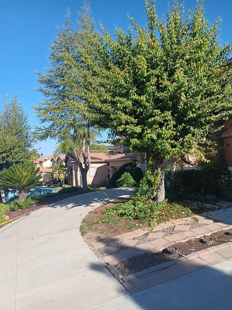 Trusted landscape design experts serving Menifee, CA - Perez's Landscaping Services