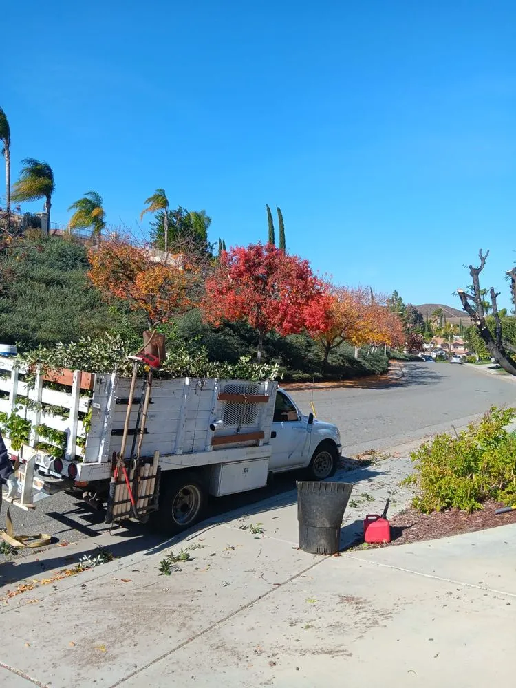 Custom landscaping services near you in Menifee, CA by Perez's Landscaping Services