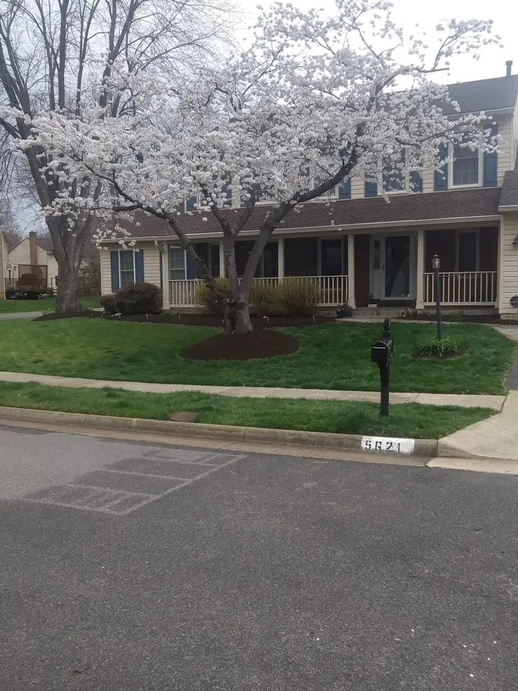 Reliable yard cleanup service in Woodbridge, VA - Perez’s Lawn Care Services