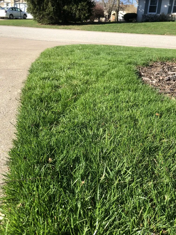 Local yard maintenance experts serving Erie, PA - Perf-A-Lawn - Erie