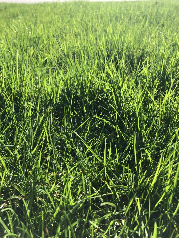 Expert lawn care service in Pittsburgh, PA - Perf A Lawn - Pittsburgh