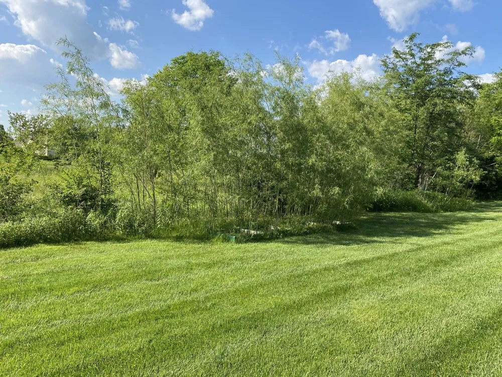 Custom outdoor landscaping experts serving Cincinnati, OH - Perfacut Lawn And Landscape