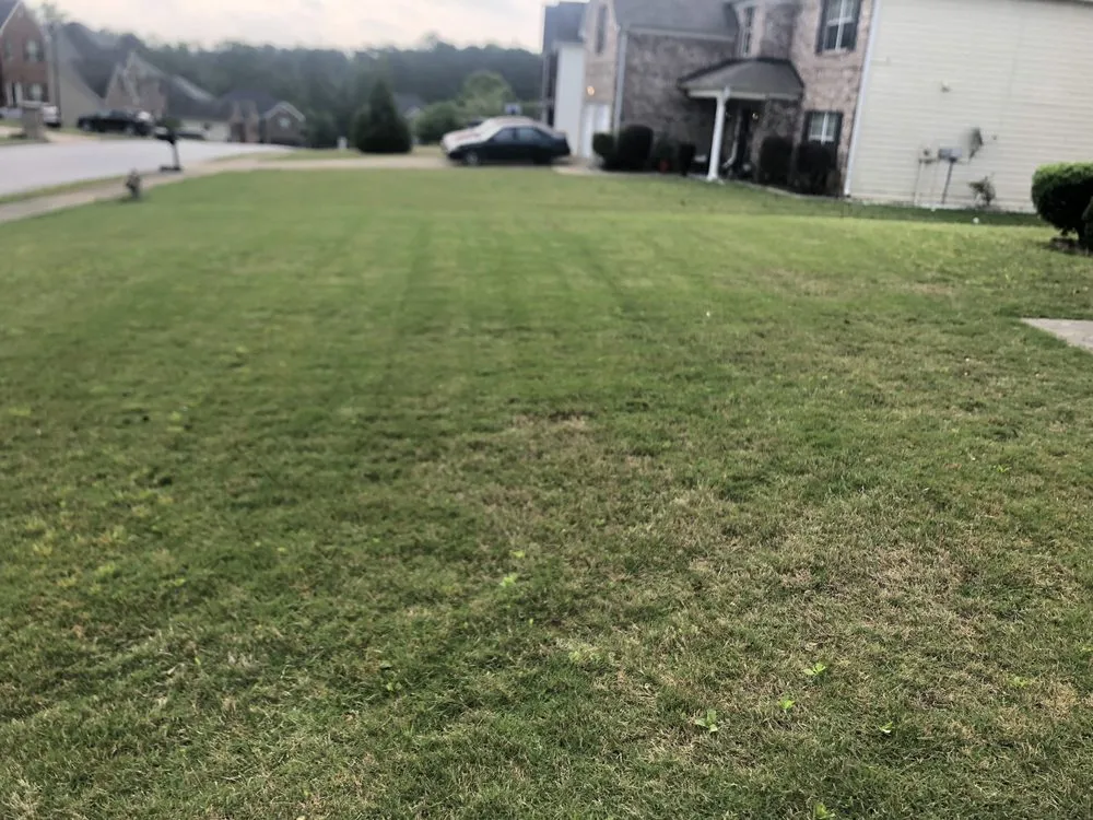 Affordable landscape design for residential properties across Lithia Springs, GA - Perfect 4 Lawn Care