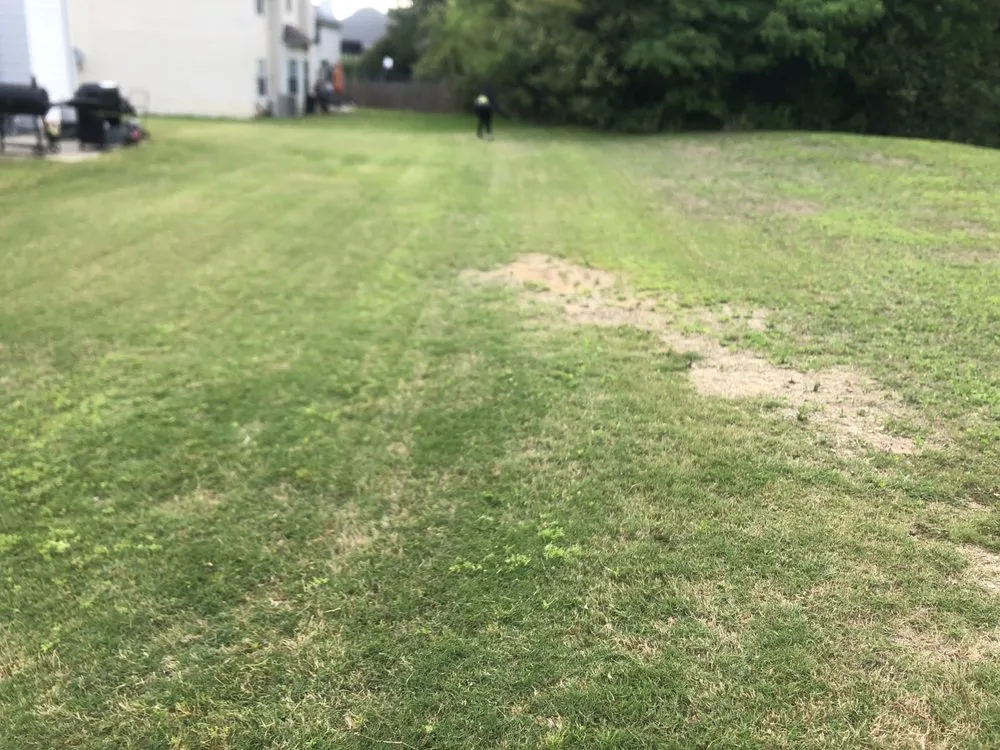 Custom landscape installation experts serving Lithia Springs, GA - Perfect 4 Lawn Care