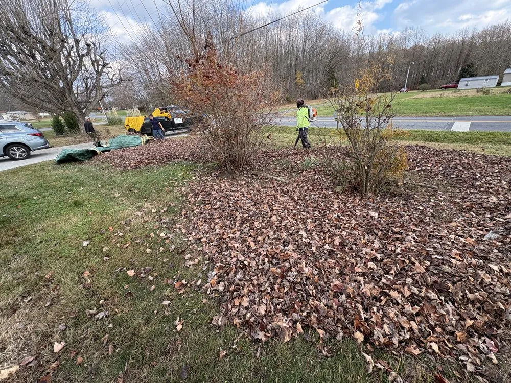 Reliable yard cleanup service for residential properties in Magnolia, DE by Perfect 40