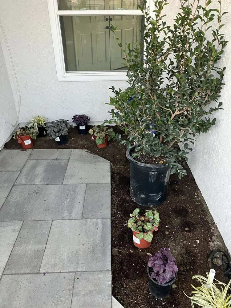 Expert landscape installation for beautiful yards across Costa Mesa, CA - Perfect Circle Gardens & Interiors