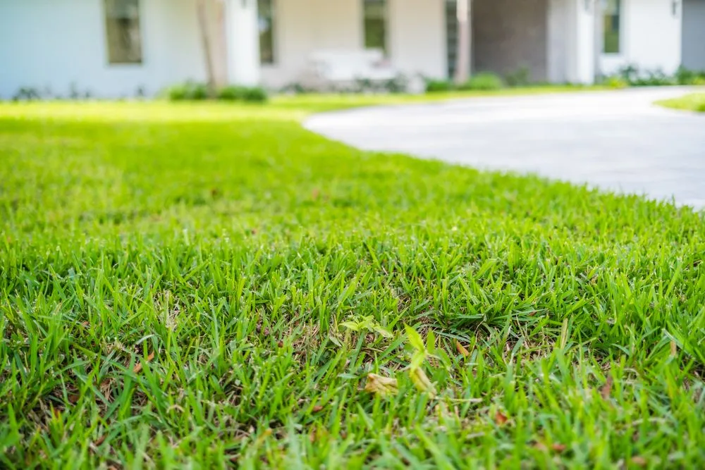 Trusted garden landscaping experts serving Boynton Beach, FL - Perfect Cut Landscaping