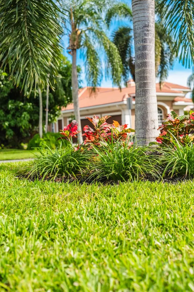 Trusted lawn care service in Boynton Beach, FL by Perfect Cut Landscaping