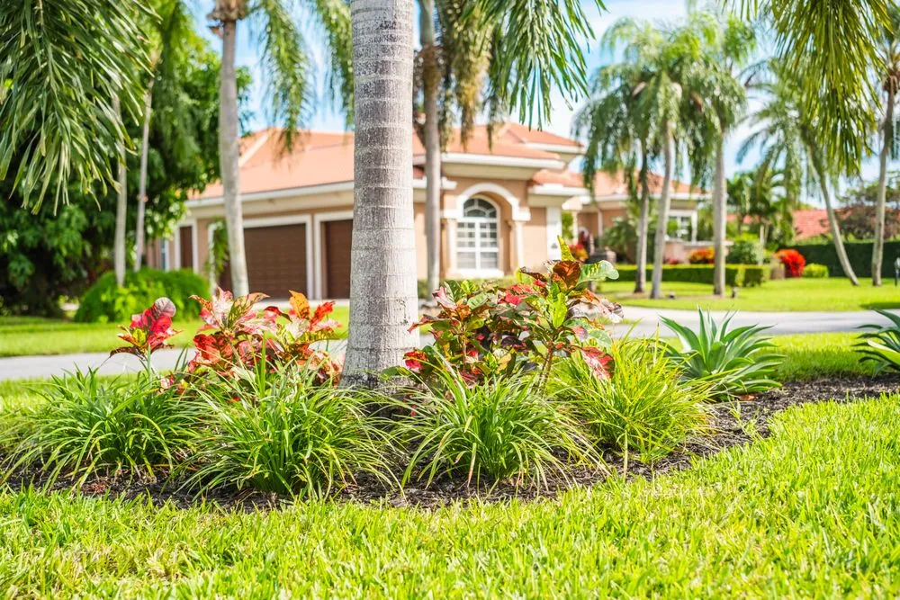 Custom lawn care service in Boynton Beach, FL - Perfect Cut Landscaping