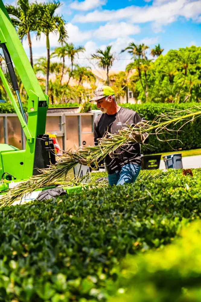 Expert landscape installation experts serving Boynton Beach, FL - Perfect Cut Landscaping