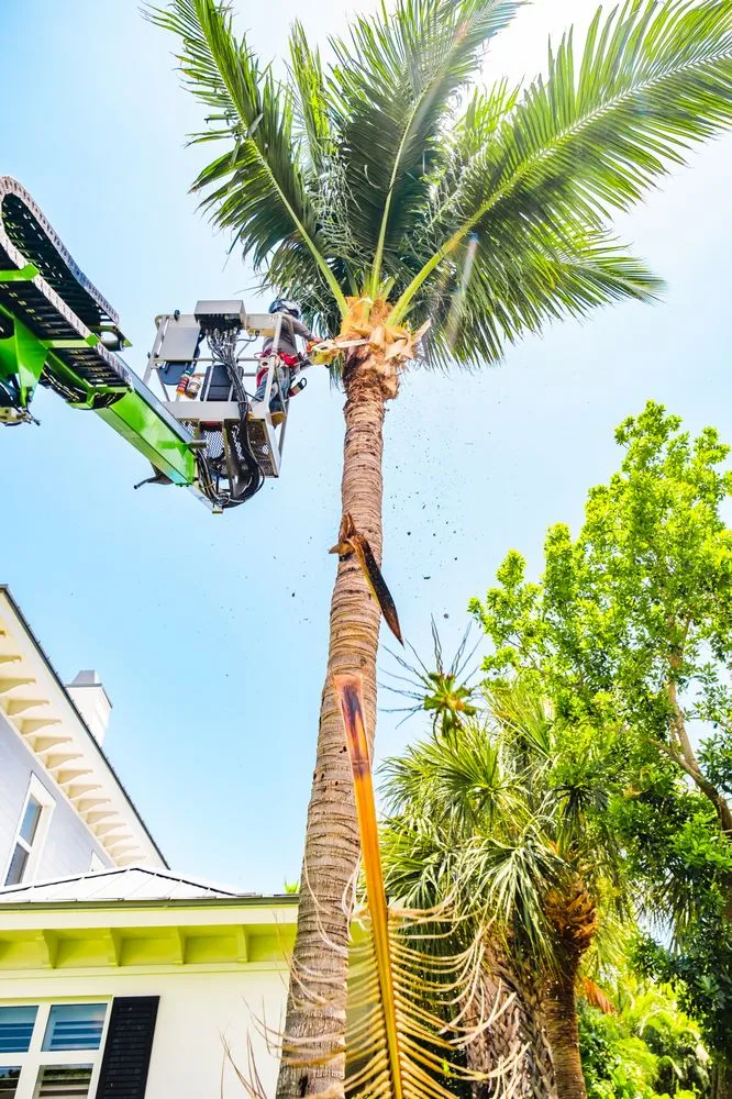 Custom yard maintenance experts serving Boynton Beach, FL - Perfect Cut Landscaping