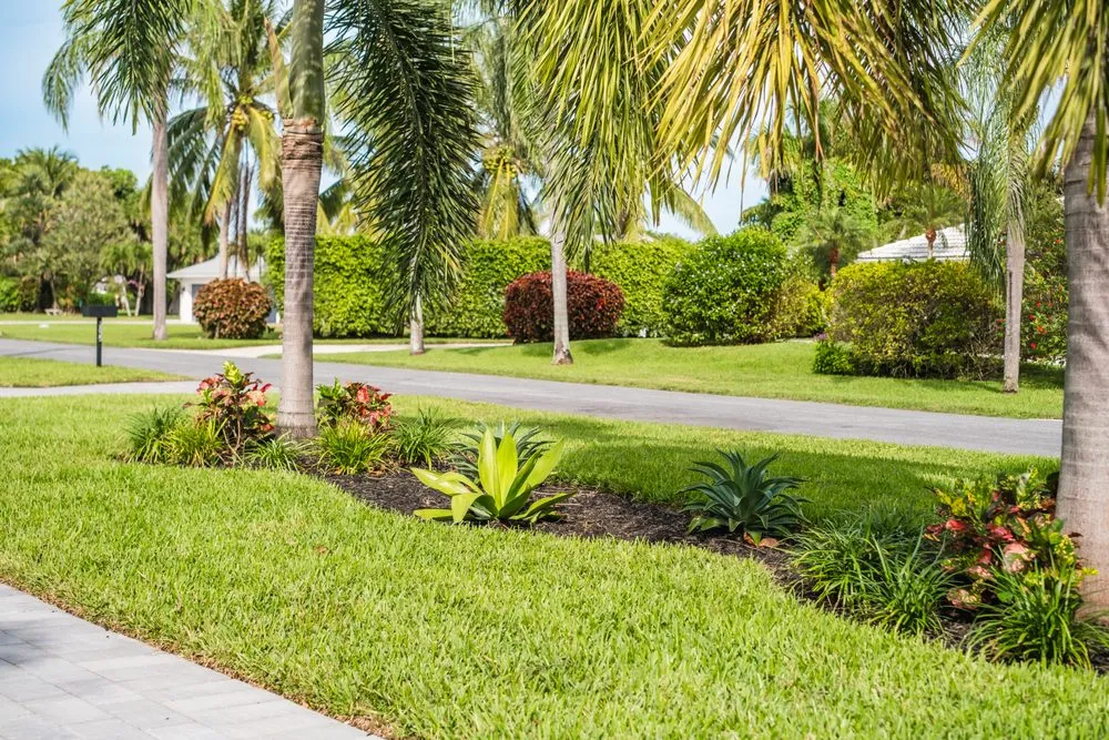 Custom landscaping services in Boynton Beach, FL by Perfect Cut Landscaping