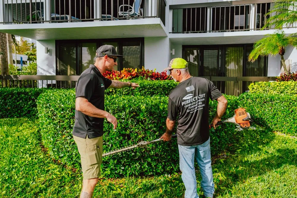 Custom landscape design for year-round maintenance in Boynton Beach, FL by Perfect Cut Landscaping