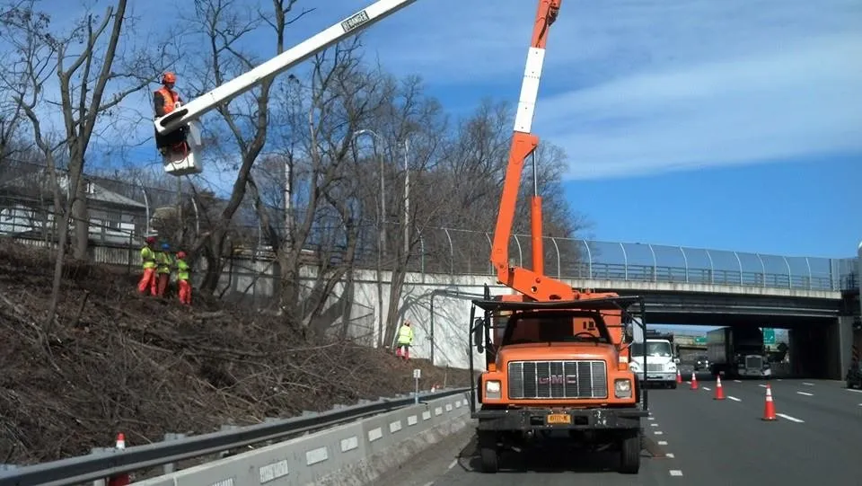 Top-rated yard cleanup service in Goshen, NY - Perfect Cut Landscaping