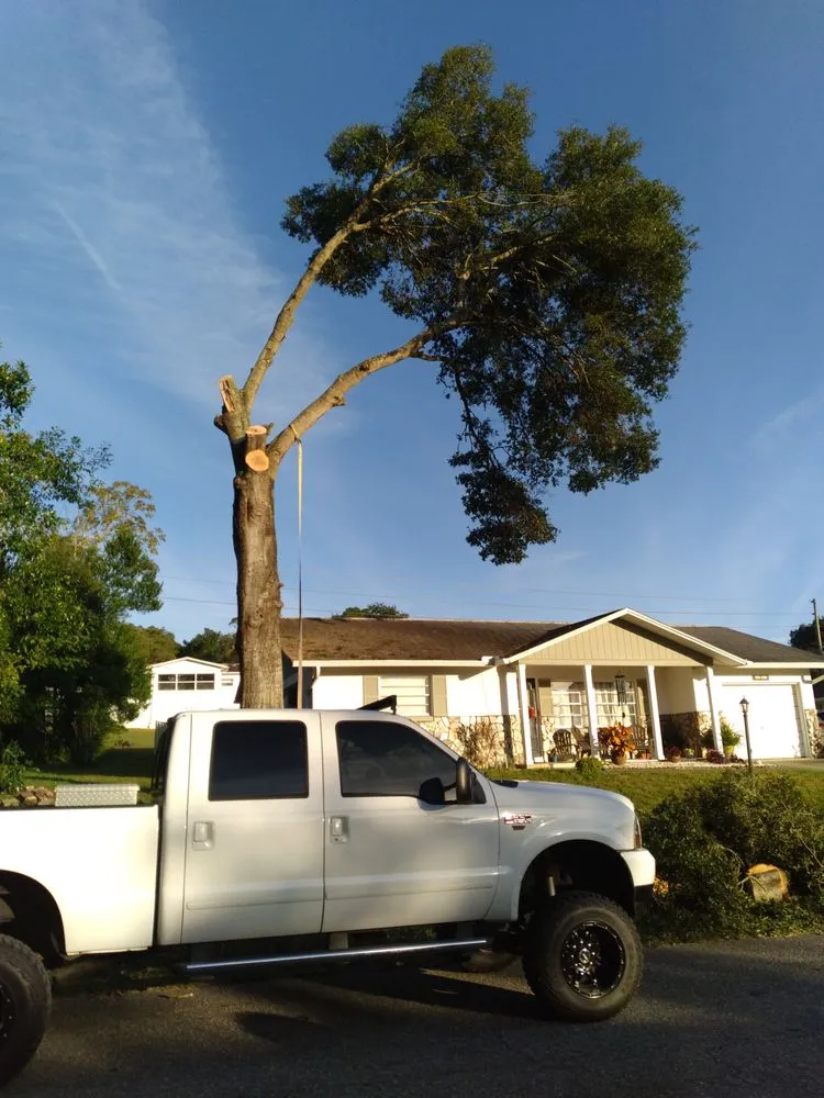 Top-rated lawn mowing service for year-round maintenance across Citrus Springs, FL - Perfect Cut Lawn & Tree