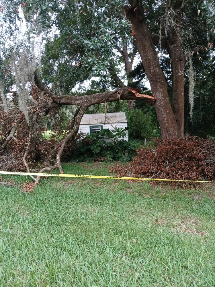 Custom lawn care service for residential properties across Citrus Springs, FL - Perfect Cut Lawn & Tree