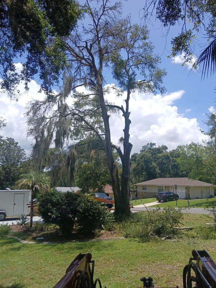 Professional lawn care service experts serving Citrus Springs, FL - Perfect Cut Lawn & Tree