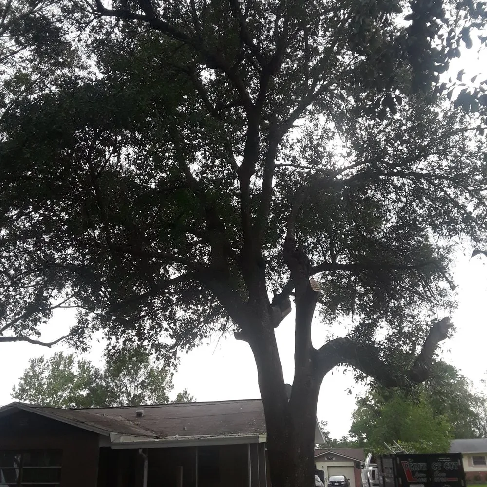 Professional garden landscaping for outdoor upgrades across Citrus Springs, FL - Perfect Cut Lawn & Tree