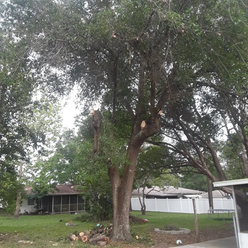 Custom garden landscaping near you across Citrus Springs, FL - Perfect Cut Lawn & Tree