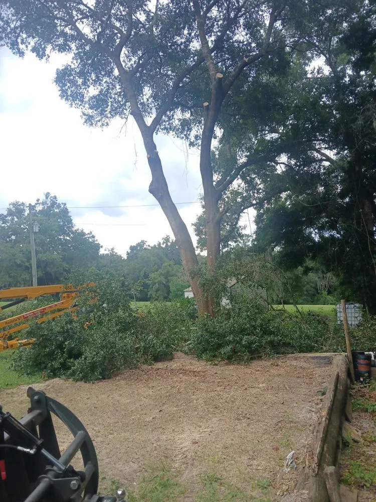 Top-rated yard maintenance in Citrus Springs, FL - Perfect Cut Lawn & Tree