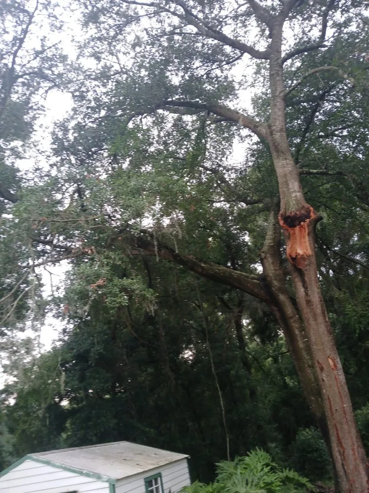 Professional lawn care service in Citrus Springs, FL by Perfect Cut Lawn & Tree