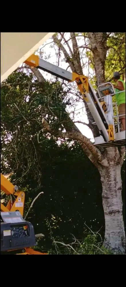 Local landscaping services experts serving Citrus Springs, FL - Perfect Cut Lawn & Tree