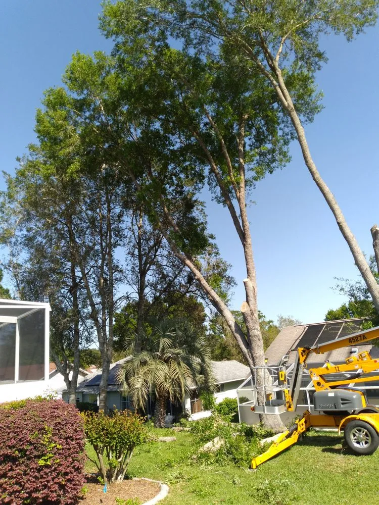 Affordable lawn mowing service with custom design across Citrus Springs, FL - Perfect Cut Lawn & Tree