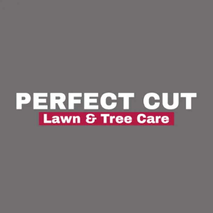 Custom yard maintenance in Citrus Springs, FL - Perfect Cut Lawn & Tree