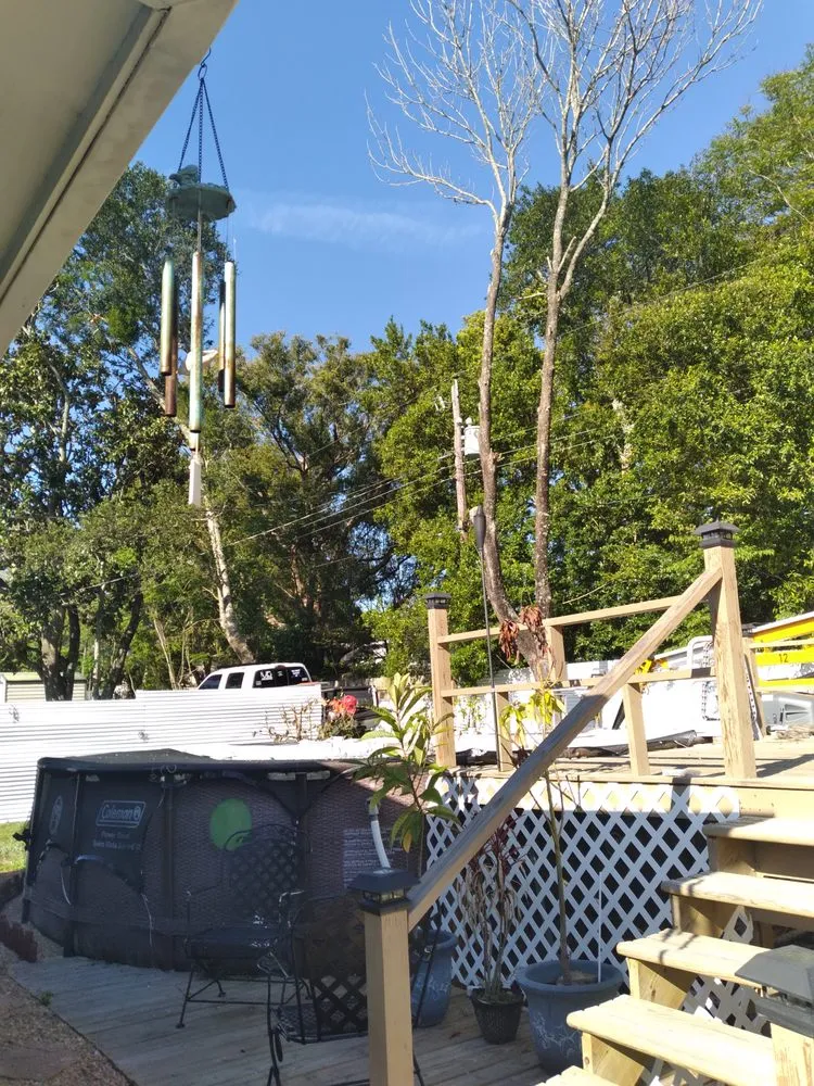 Custom yard maintenance experts serving Citrus Springs, FL - Perfect Cut Lawn & Tree