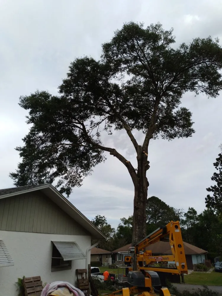 Local lawn mowing service for outdoor upgrades in Citrus Springs, FL by Perfect Cut Lawn & Tree